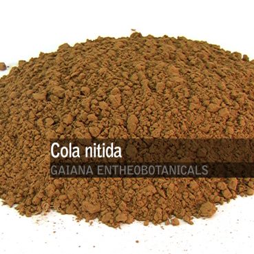 Cola nitida -Kola Nut-