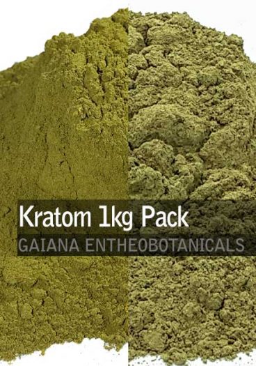 Mitragyna speciosa Kratom