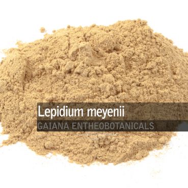 Lepidium meyenii -Maca-