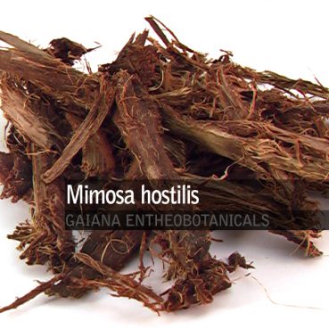 mimosa-hostilis-root-bark