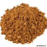 Theobroma Cacao 22% extract