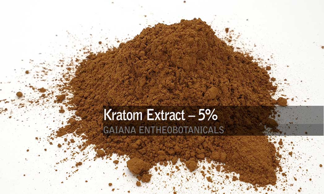 Kratom Extract – 5% Mitragynine