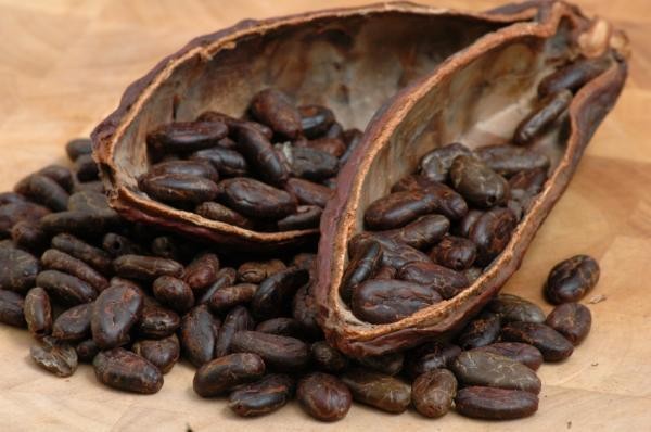 Potential benefits of Cocoa extract