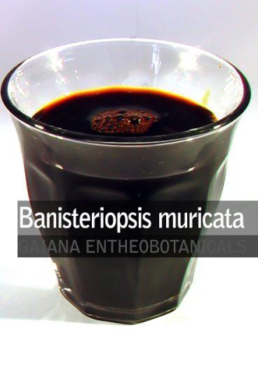 banisteriopsis-muricata-extract