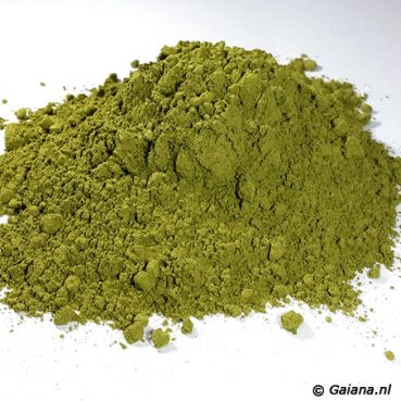 Mitragyna-speciosa-Green-Malay