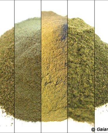 Kratom-Multi-Strain