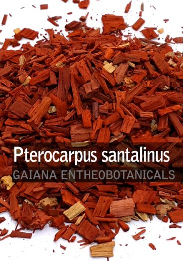 Pterocarpus santalinus -Sandelwood-