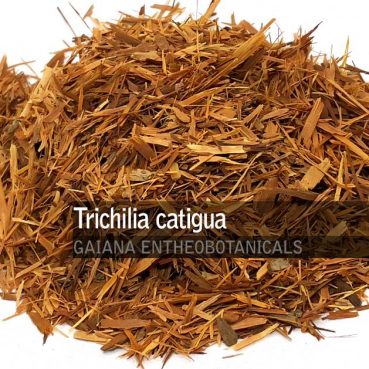 Trichilia-catigua-Catuaba-Bark