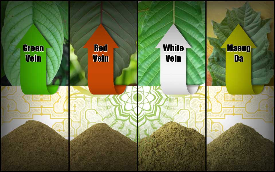 Kratom Selection