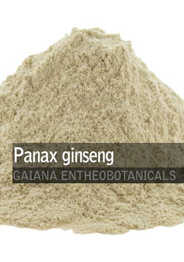 Panax-Ginseng-Powder-White