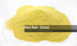 Kava-Kava-Root-Extract