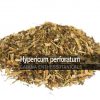 Hypericum-perforatum-St-Johns-wort