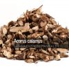 Acorus-calamus-Root