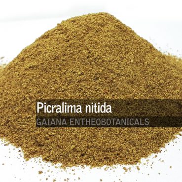 Picralima-nitida-Akuamma-Powder