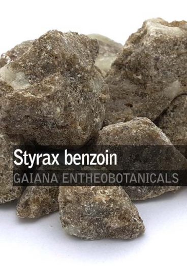 Styrax benzoin -Styrax-