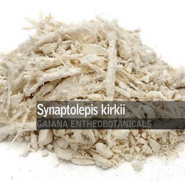 Synaptolepis-kirkii-Uvuma-omhlope