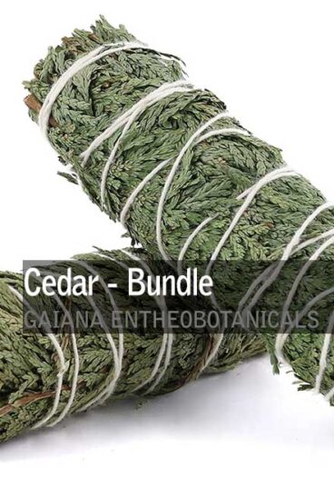 Cedar-Smudge-Bundle