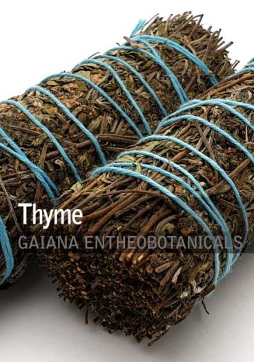 Thyme-Smudge-Bundle