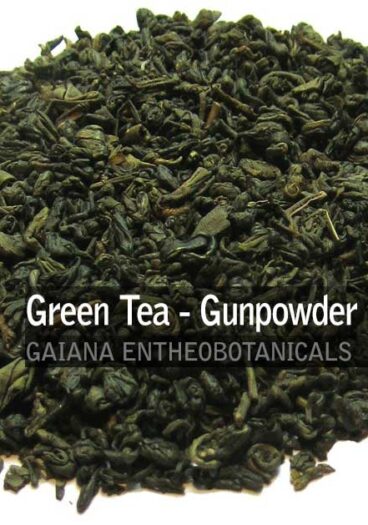 Camellia-sinensis-Green-Tea-Gunpowder