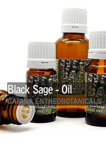 Black-Sage-Salvia-mellifera-Essential-Oil