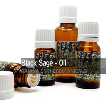 Black-Sage-Salvia-mellifera-Essential-Oil