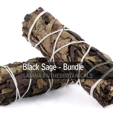 Black-Sage-Smudge-Bundle