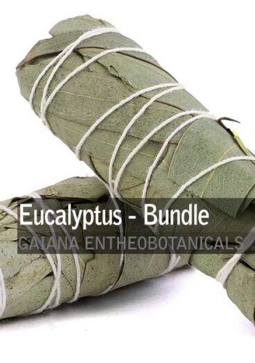 Eucalyptus-Smudge-Bundle