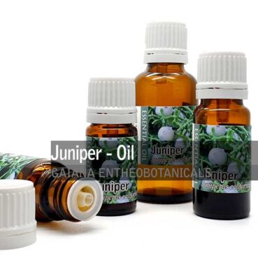 Juniper-Juniperus-californica-Essential-Oil