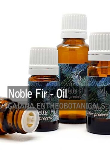 Noble-Fir-Abies-procera-Essential-Oil
