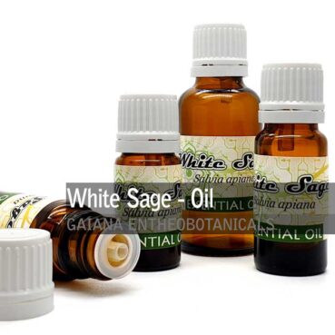 White-Sage-Essential-Oil