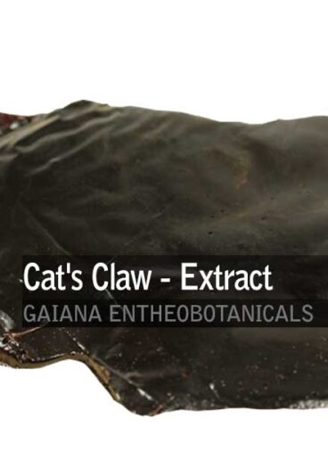 Uncaria-tomentosa-Cats-Claw-Extract
