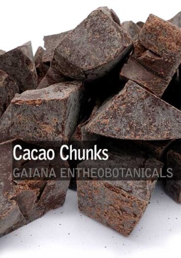 Theobroma-cacao-Cacao-Paste-Chunks