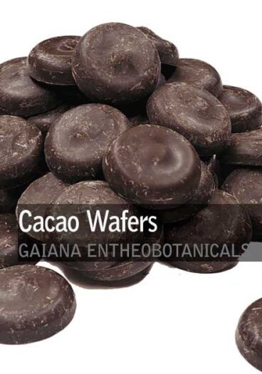 Theobroma-cacao-Cacao-Wafers