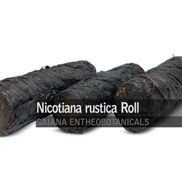 Nicotiana rustica -Extra Strong Mapacho Roll-