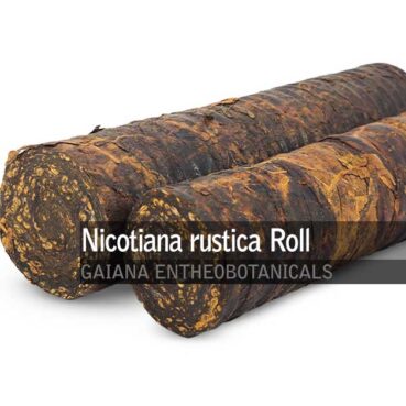 Nicotiana rustica -Mapacho Roll-