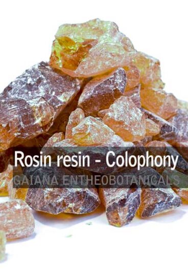 Rosin resin - Colophony