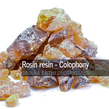 Rosin resin - Colophony