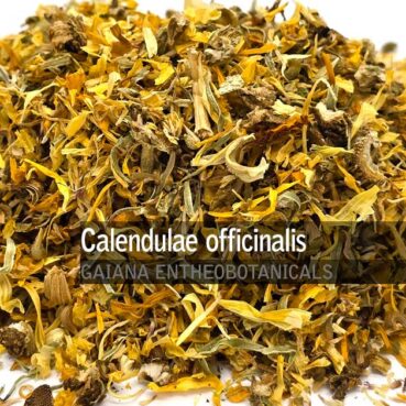 Calendulae-officinalis-Marygold-flower